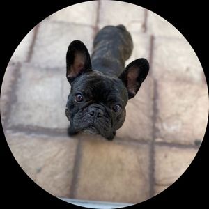 Meet your Posher, Angelica